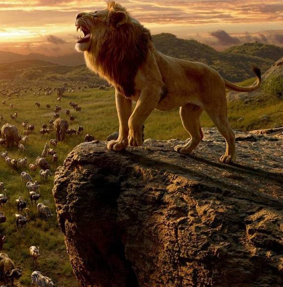 Meet your Posher, Reggie - Picture 1 of 1